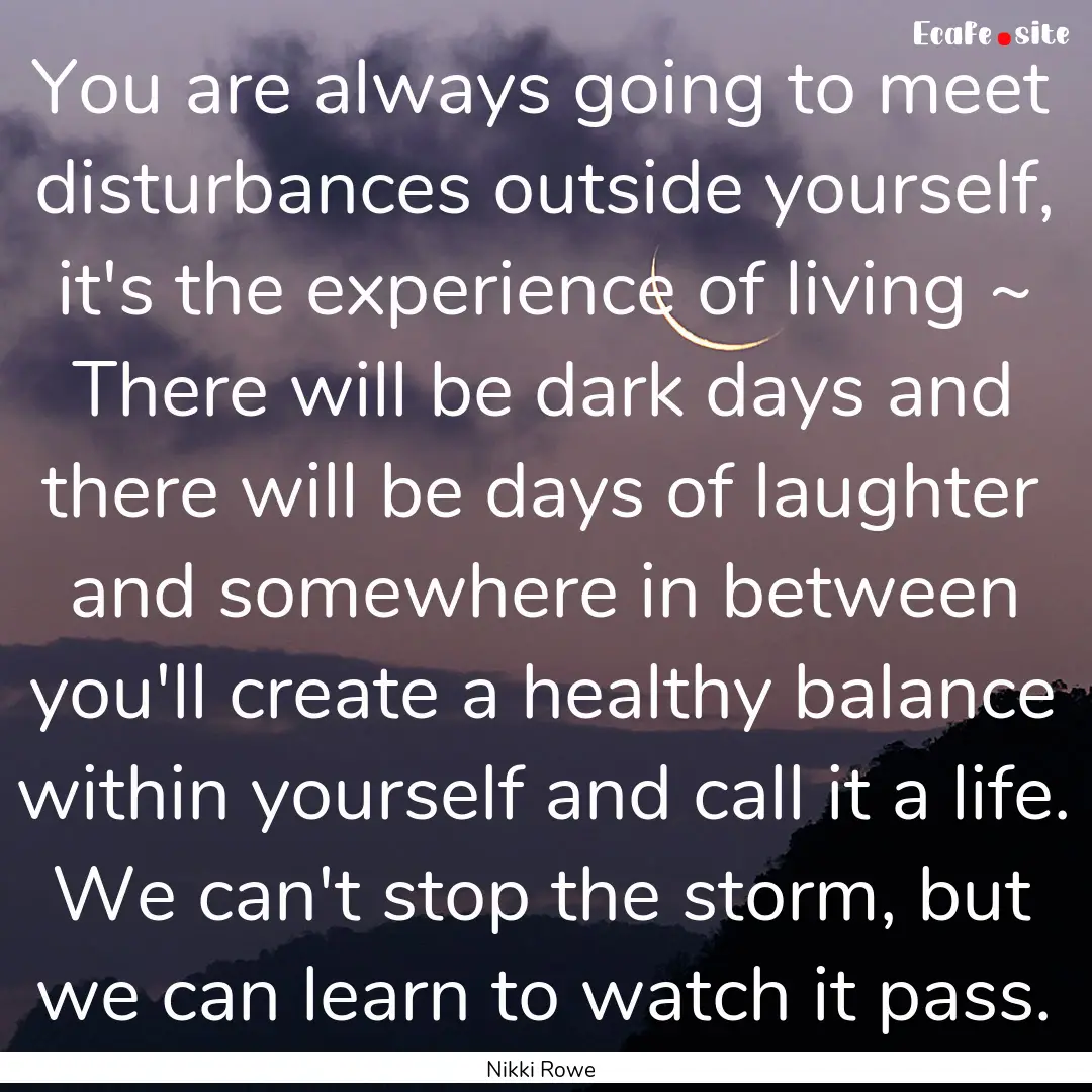 You are always going to meet disturbances.... : Quote by Nikki Rowe