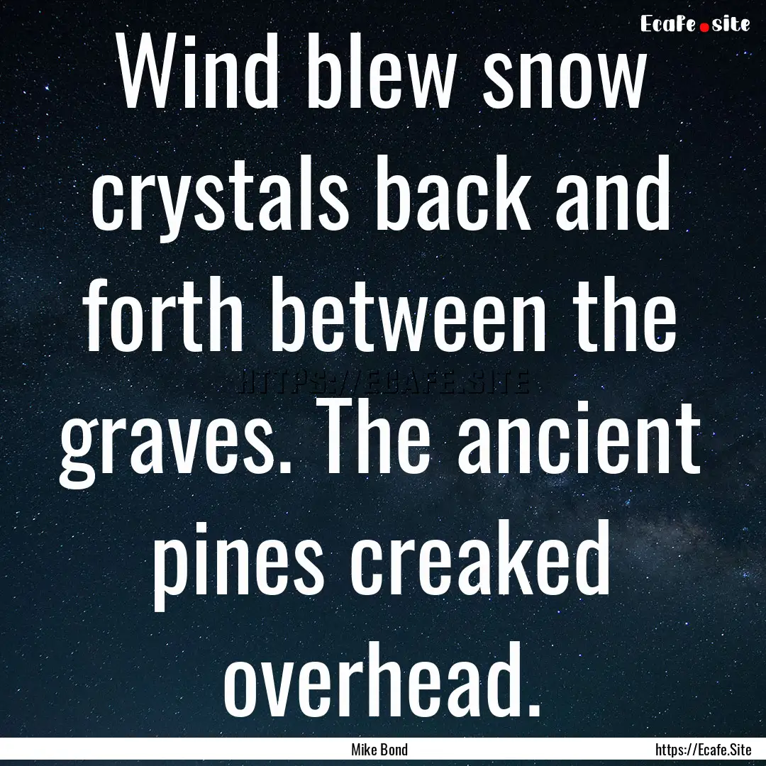 Wind blew snow crystals back and forth between.... : Quote by Mike Bond