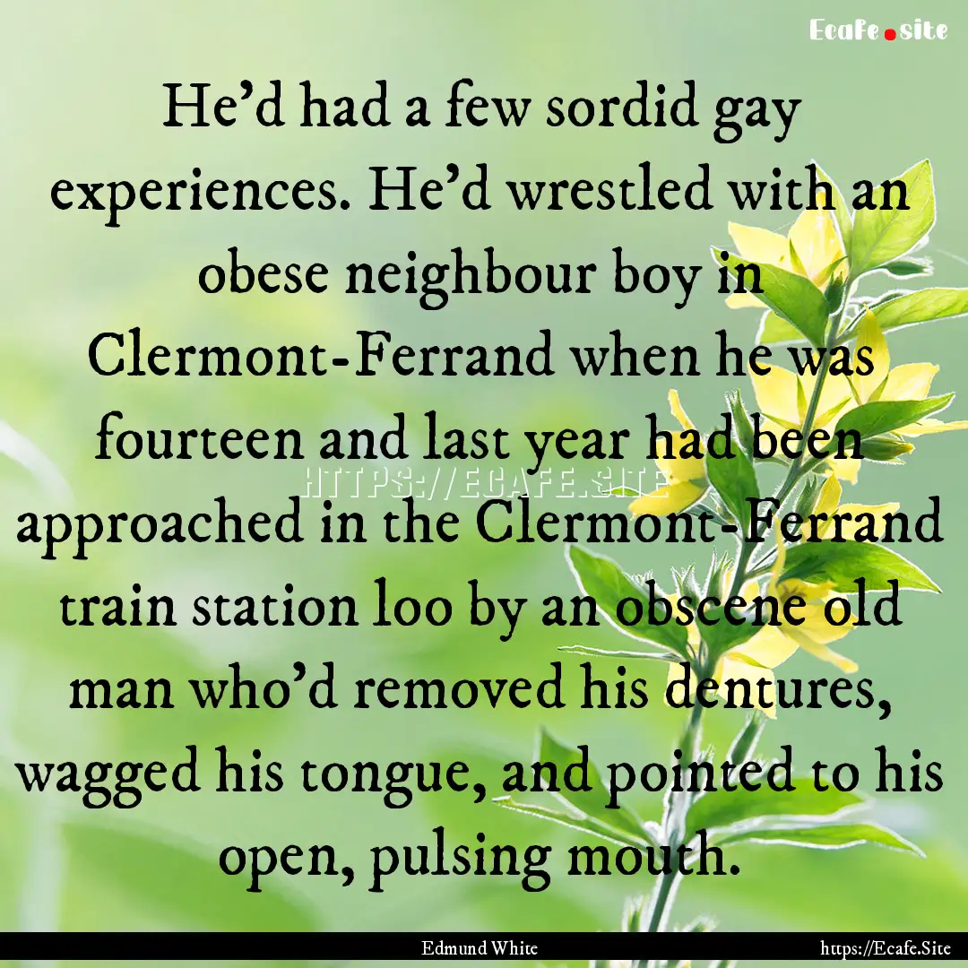 He’d had a few sordid gay experiences..... : Quote by Edmund White