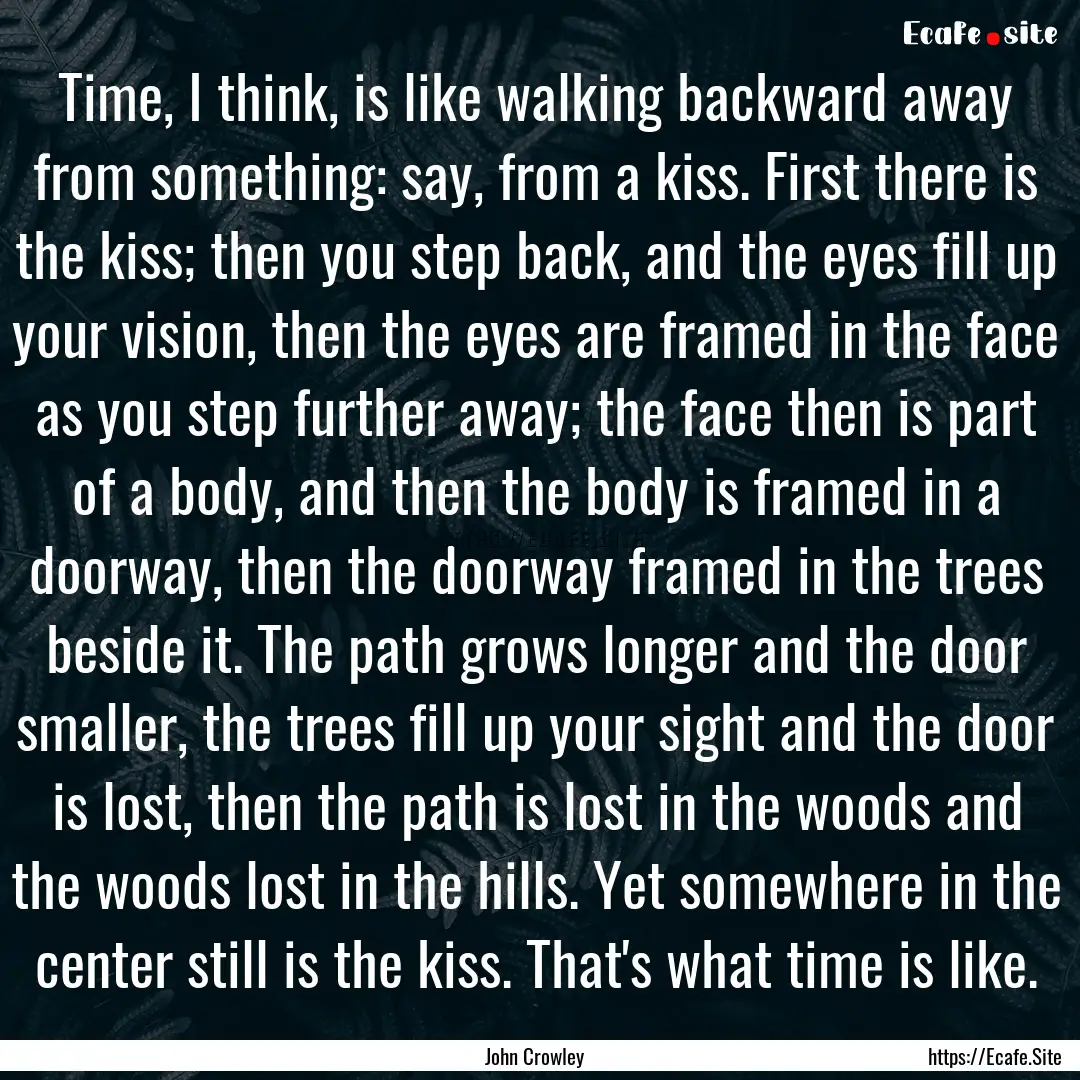 Time, I think, is like walking backward away.... : Quote by John Crowley