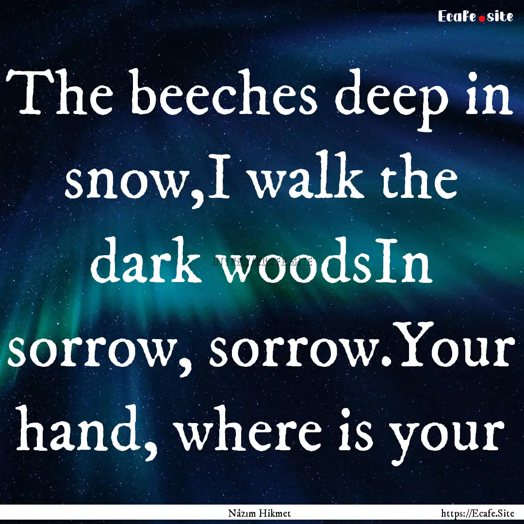 The beeches deep in snow,I walk the dark.... : Quote by Nâzım Hikmet