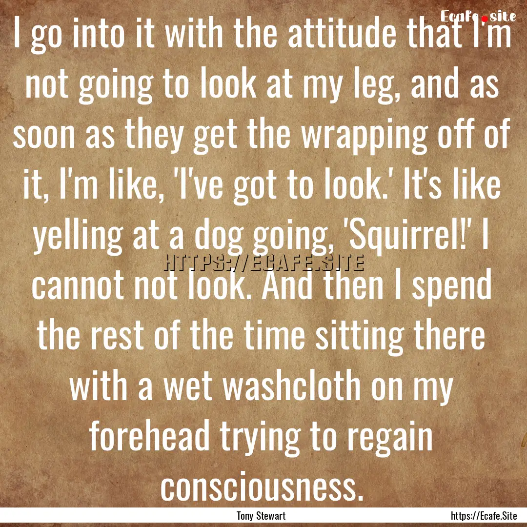 I go into it with the attitude that I'm not.... : Quote by Tony Stewart