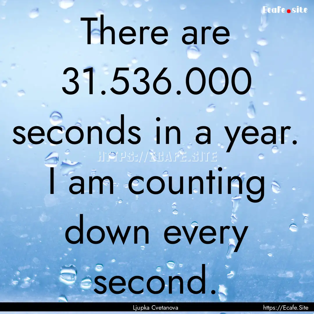 There are 31.536.000 seconds in a year. I.... : Quote by Ljupka Cvetanova