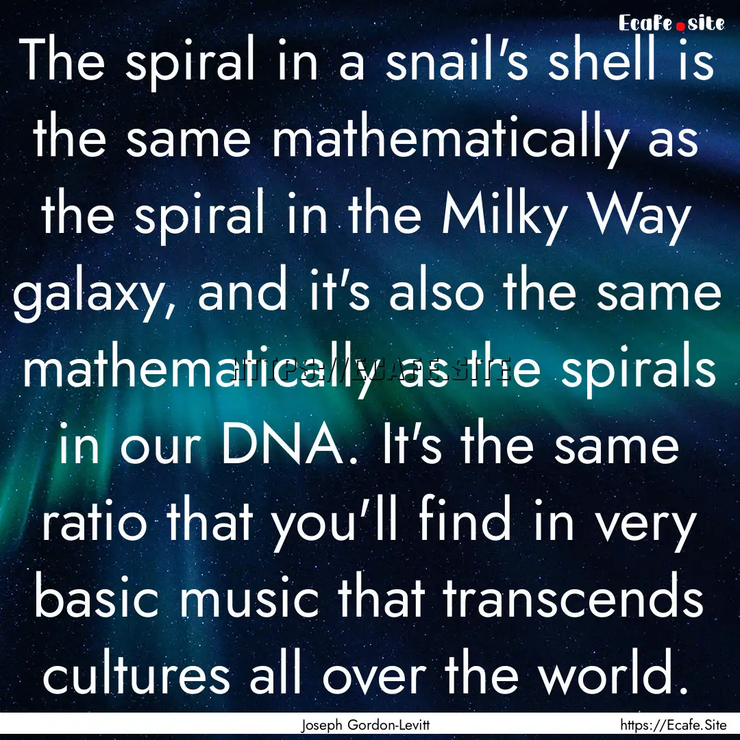 The spiral in a snail's shell is the same.... : Quote by Joseph Gordon-Levitt