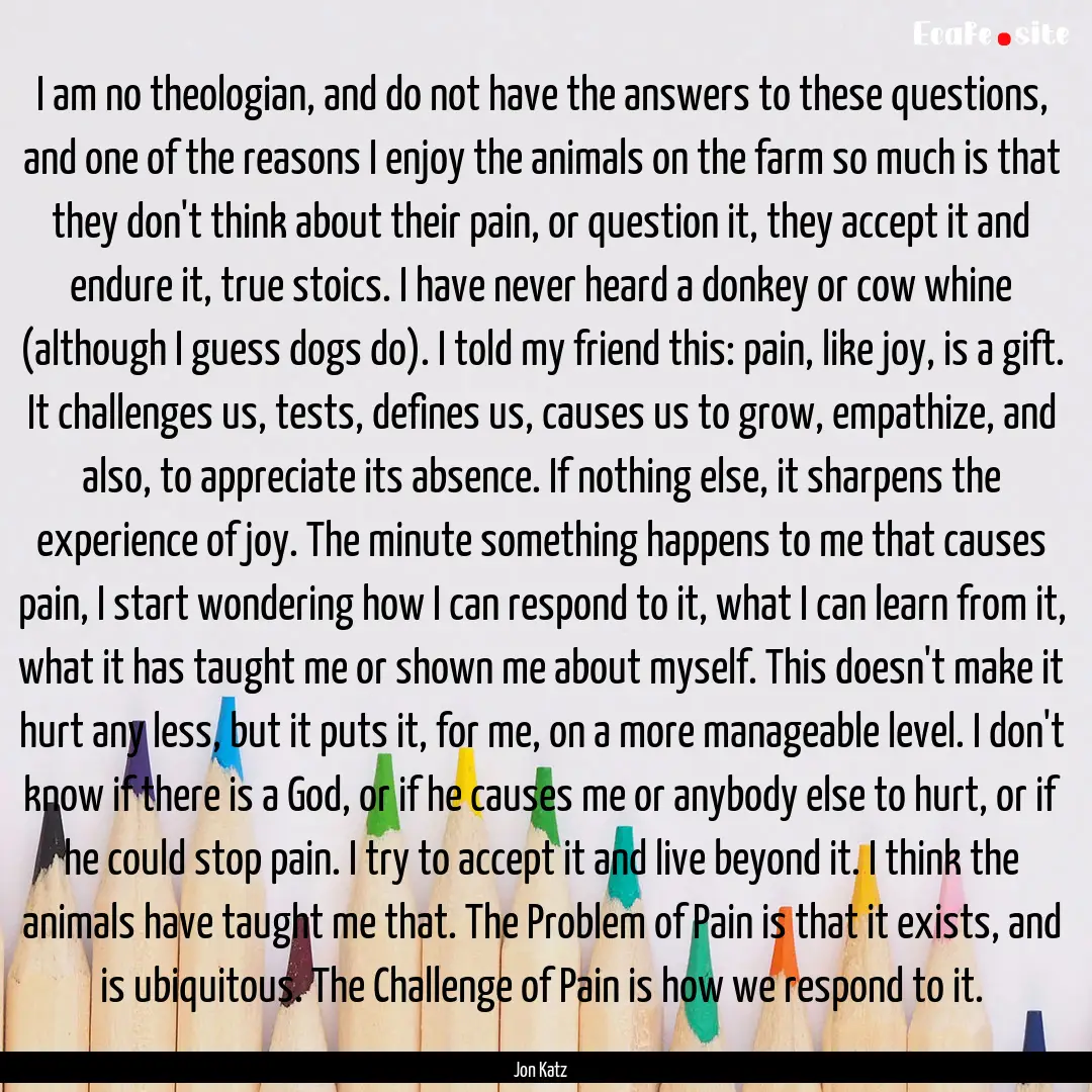 I am no theologian, and do not have the answers.... : Quote by Jon Katz