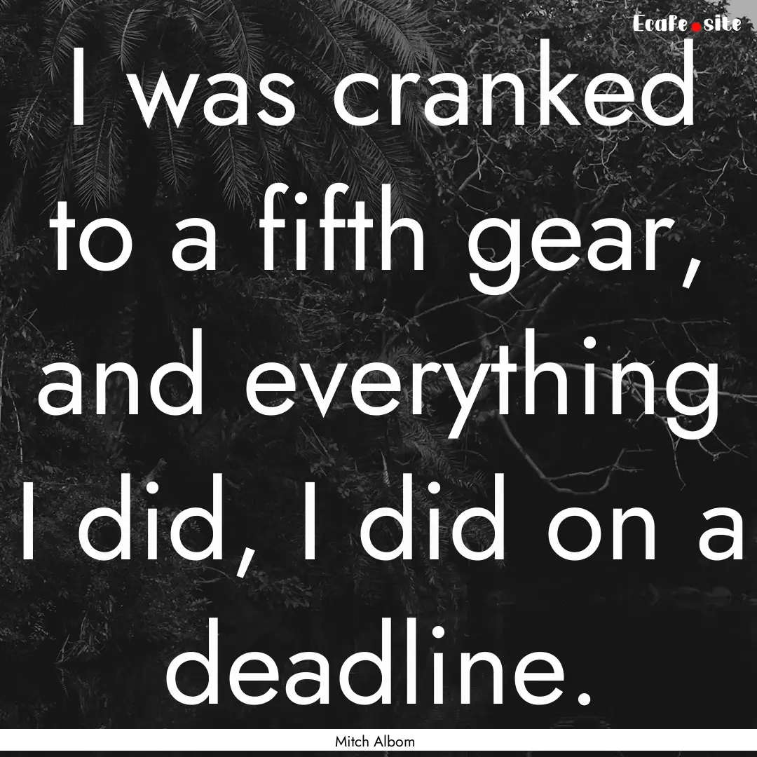 I was cranked to a fifth gear, and everything.... : Quote by Mitch Albom