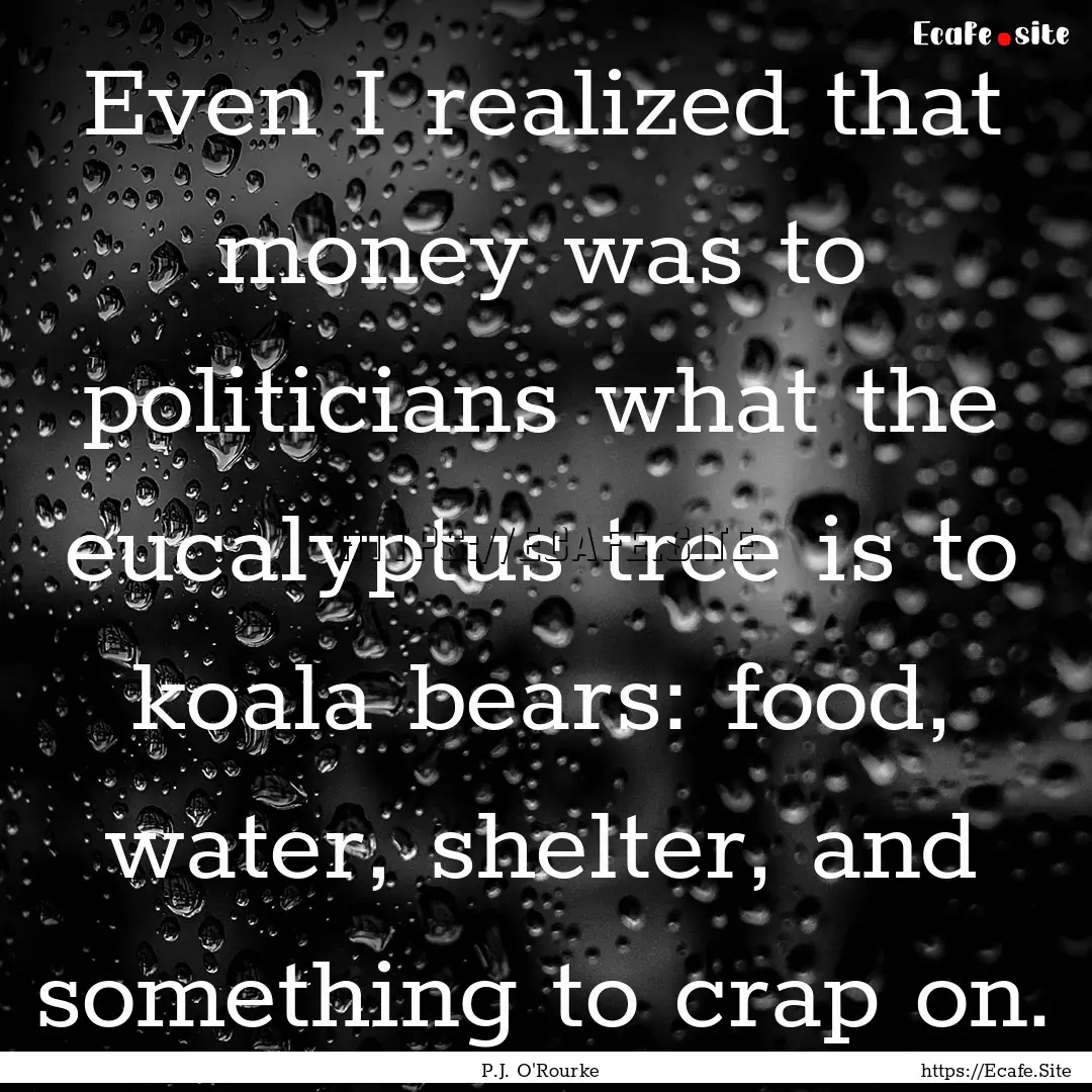 Even I realized that money was to politicians.... : Quote by P.J. O'Rourke