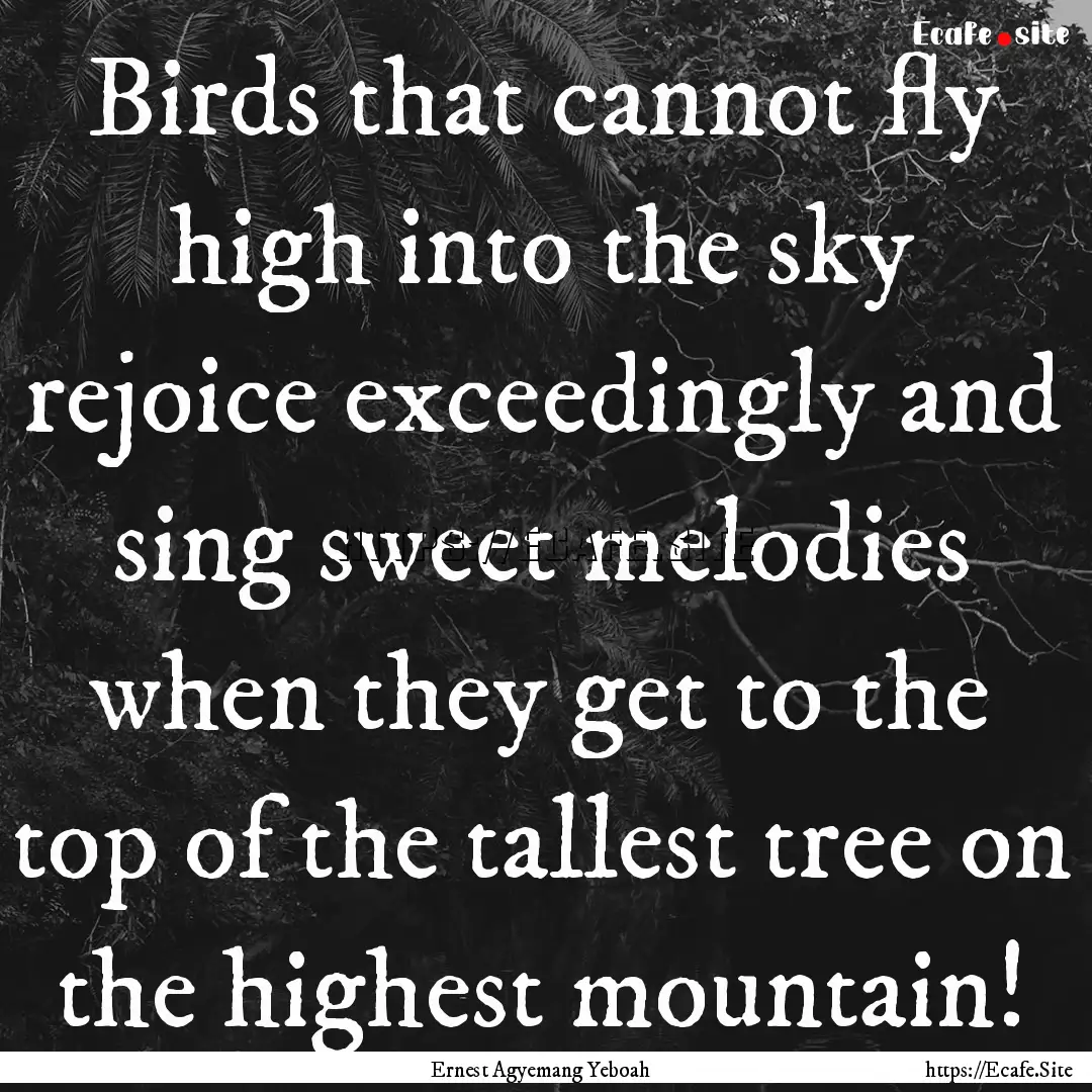 Birds that cannot fly high into the sky rejoice.... : Quote by Ernest Agyemang Yeboah