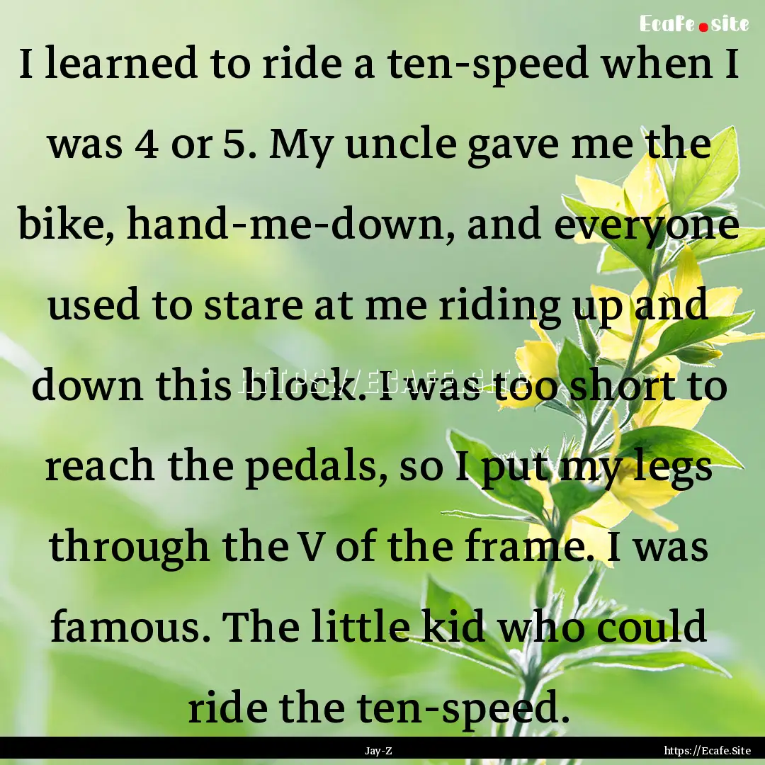 I learned to ride a ten-speed when I was.... : Quote by Jay-Z