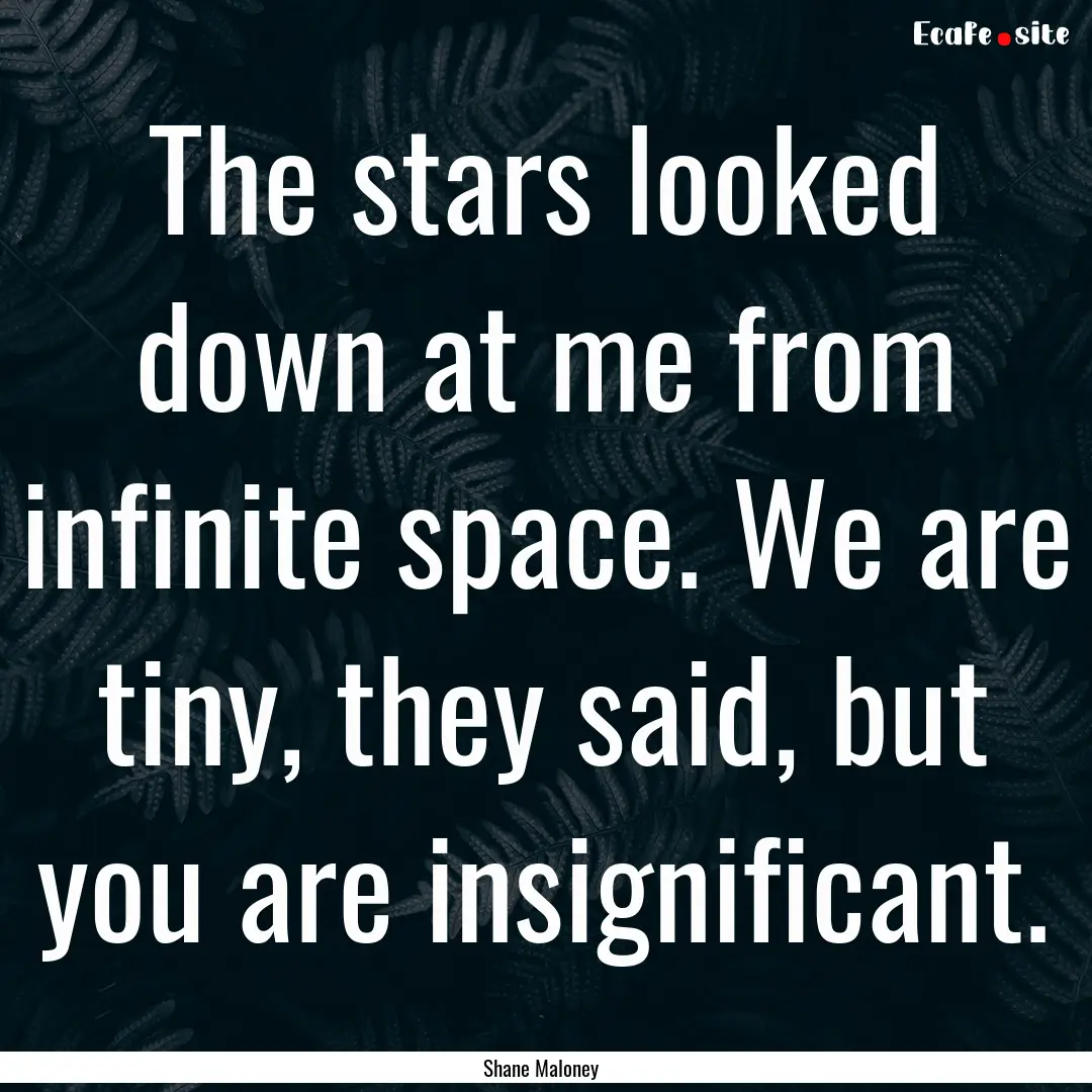 The stars looked down at me from infinite.... : Quote by Shane Maloney