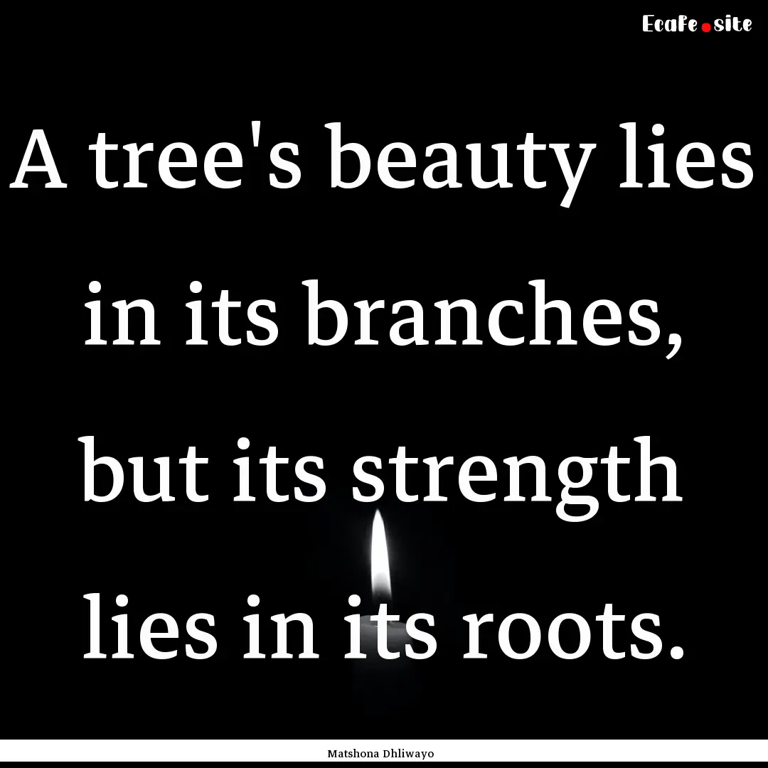 A tree's beauty lies in its branches, but.... : Quote by Matshona Dhliwayo