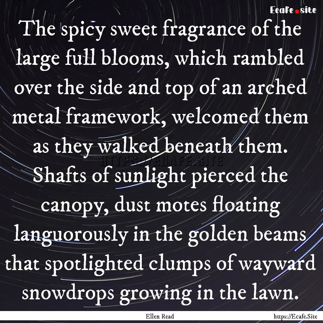 The spicy sweet fragrance of the large full.... : Quote by Ellen Read