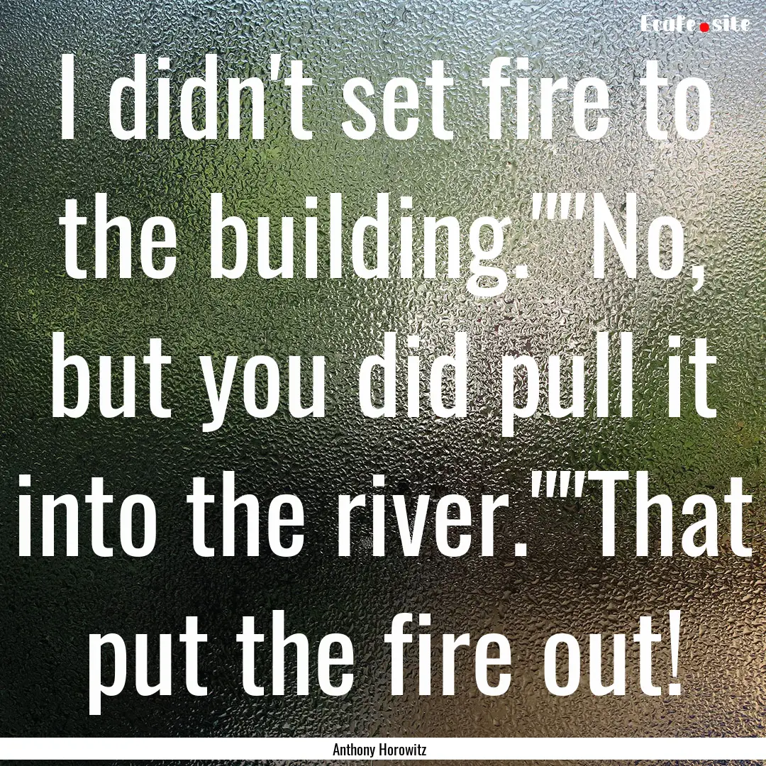 I didn't set fire to the building.