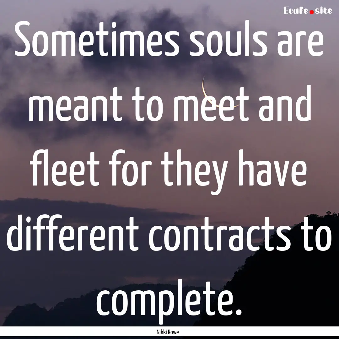 Sometimes souls are meant to meet and fleet.... : Quote by Nikki Rowe