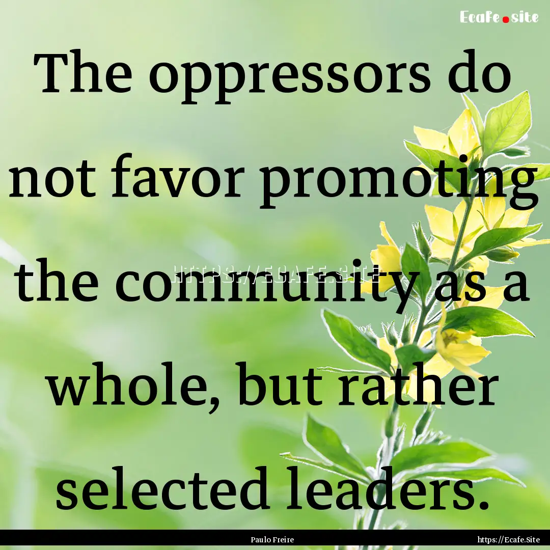 The oppressors do not favor promoting the.... : Quote by Paulo Freire