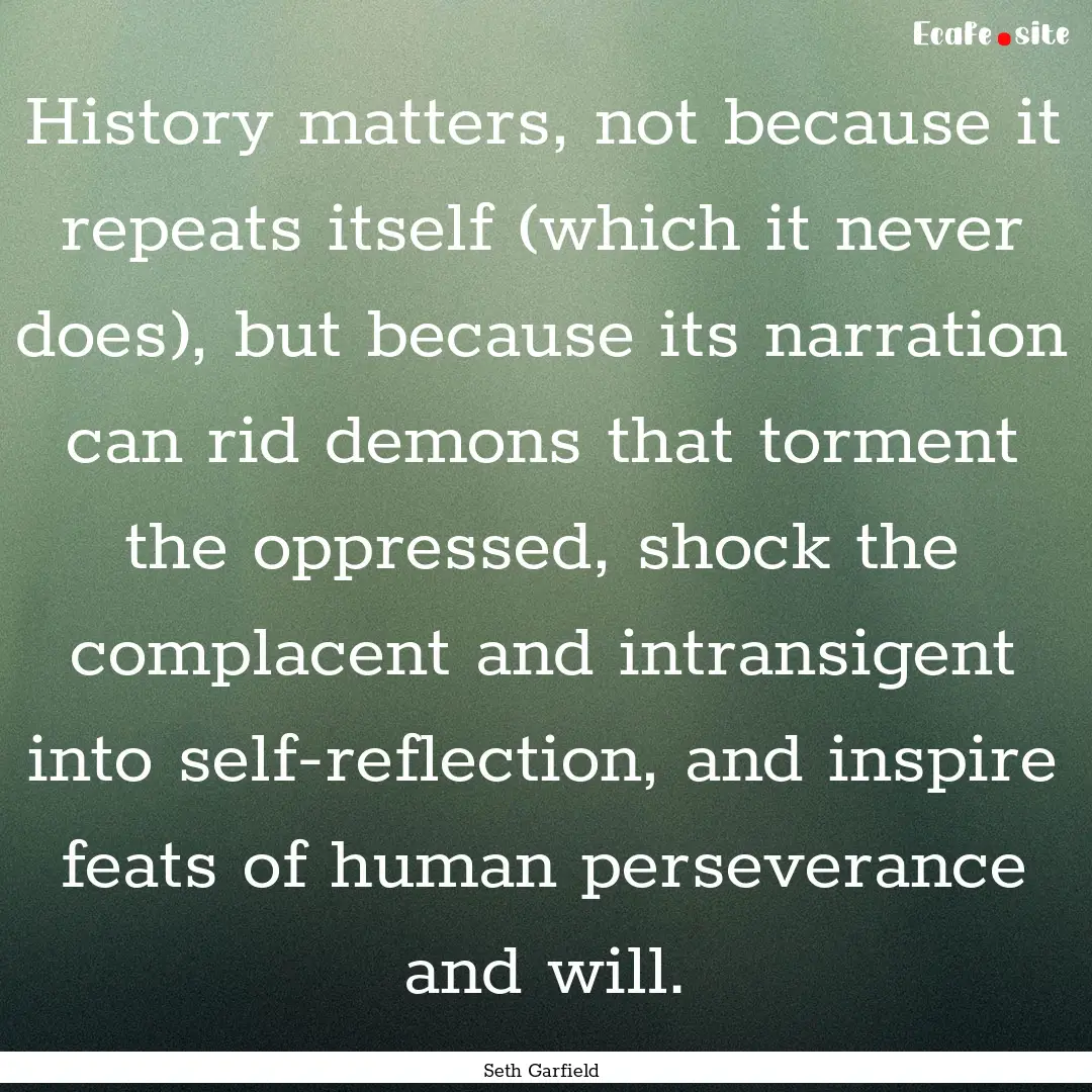 History matters, not because it repeats itself.... : Quote by Seth Garfield