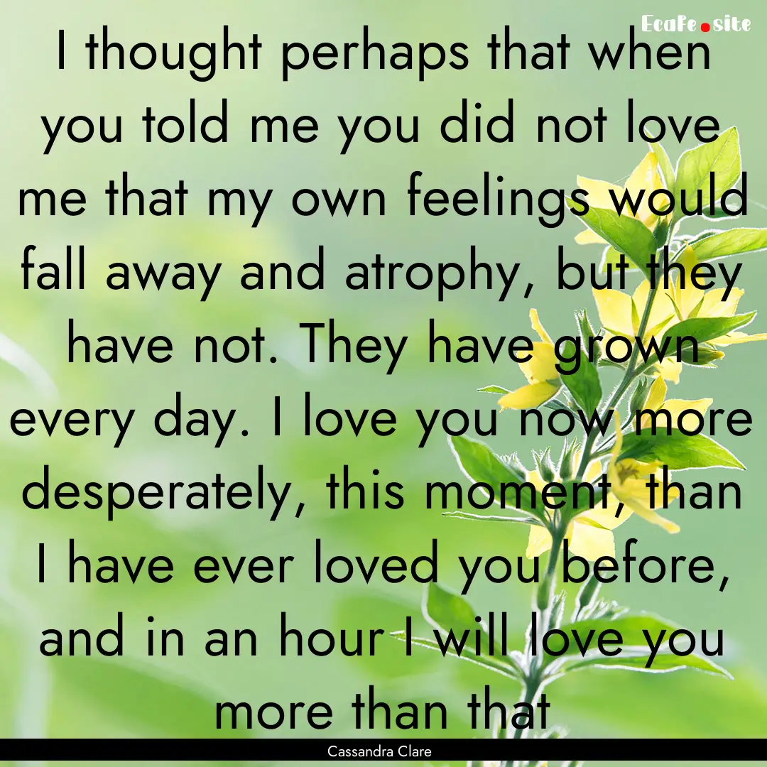 I thought perhaps that when you told me you.... : Quote by Cassandra Clare