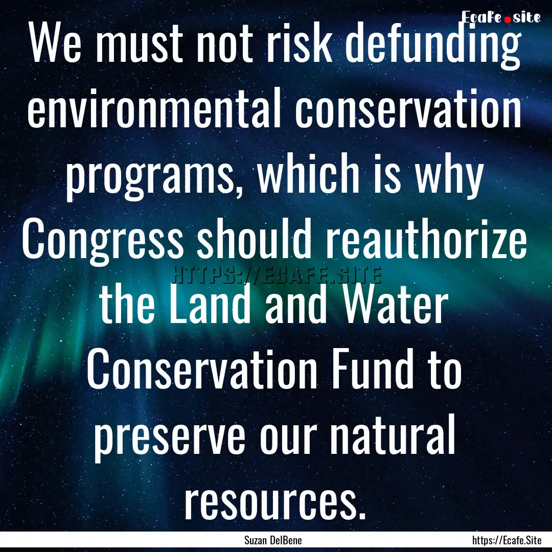 We must not risk defunding environmental.... : Quote by Suzan DelBene