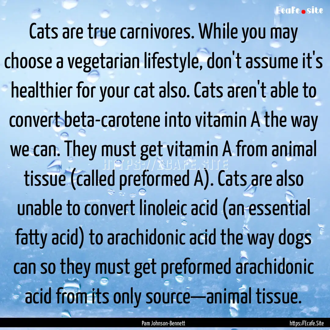 Cats are true carnivores. While you may choose.... : Quote by Pam Johnson-Bennett