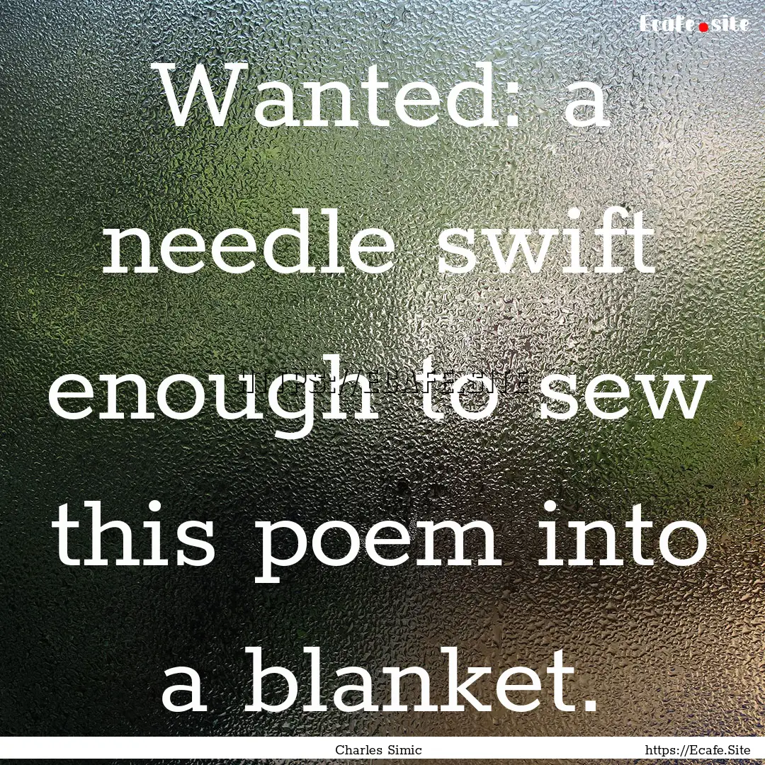 Wanted: a needle swift enough to sew this.... : Quote by Charles Simic