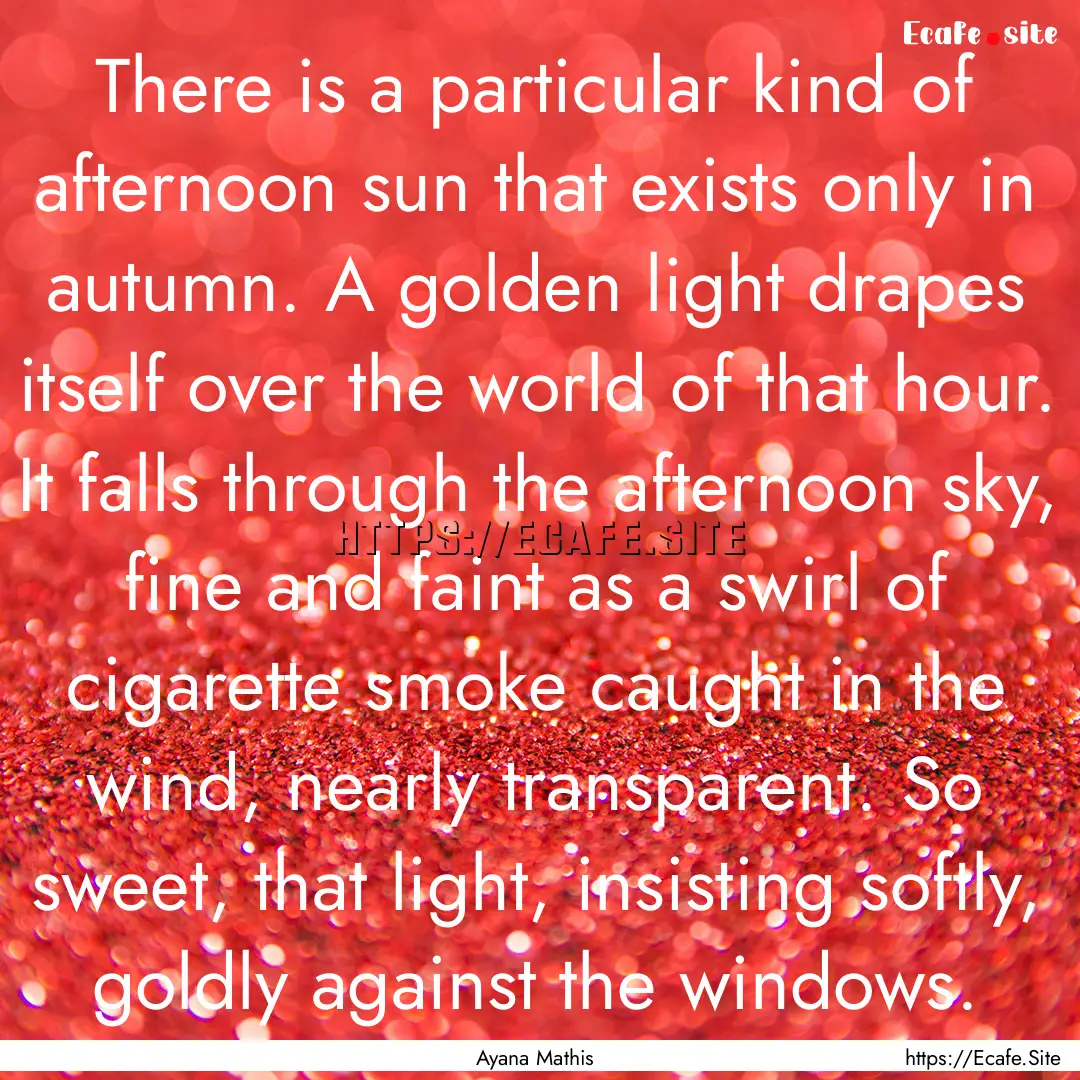 There is a particular kind of afternoon sun.... : Quote by Ayana Mathis