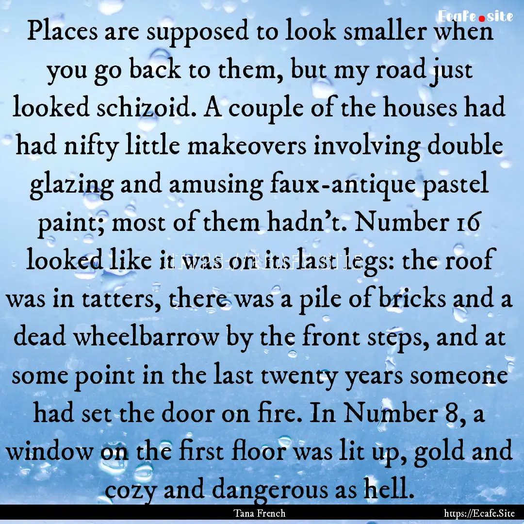 Places are supposed to look smaller when.... : Quote by Tana French