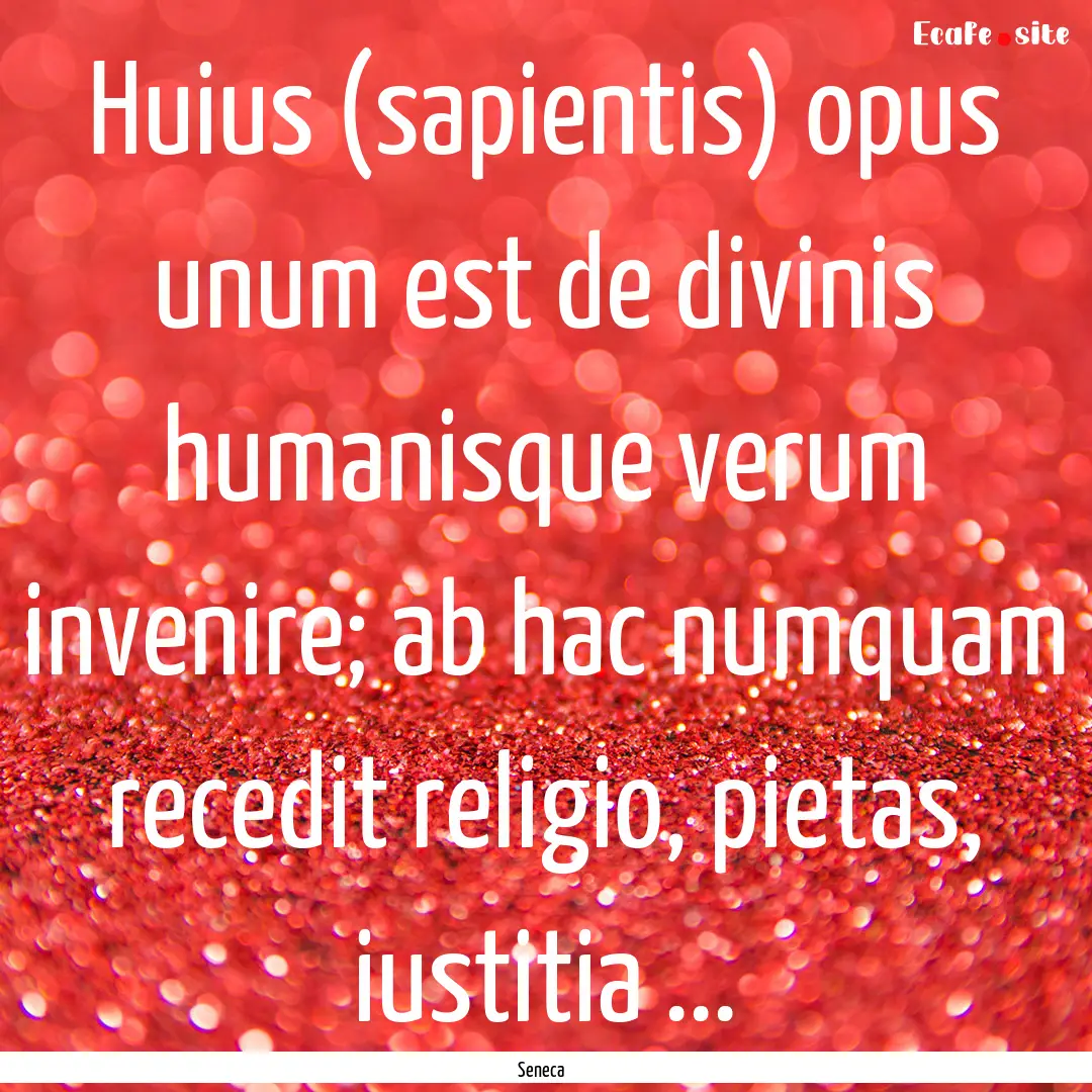 Huius (sapientis) opus unum est de divinis.... : Quote by Seneca