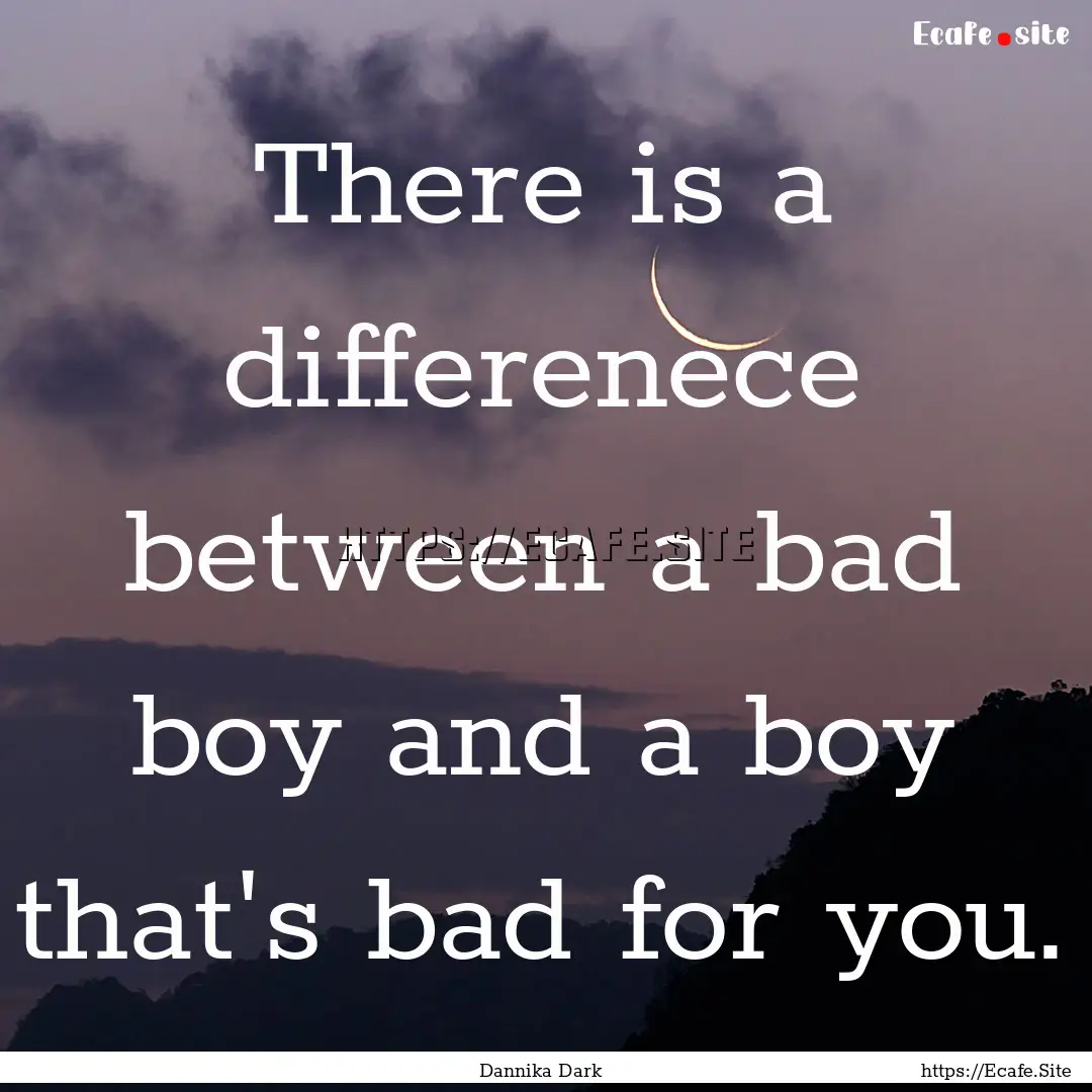 There is a differenece between a bad boy.... : Quote by Dannika Dark