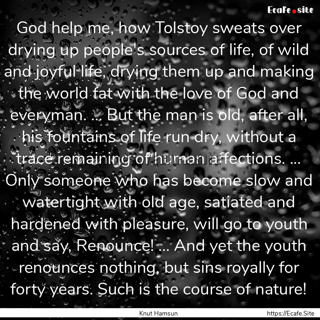 God help me, how Tolstoy sweats over drying.... : Quote by Knut Hamsun