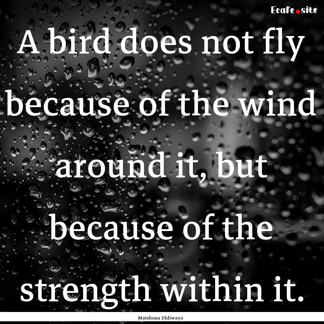 A bird does not fly because of the wind around.... : Quote by Matshona Dhliwayo