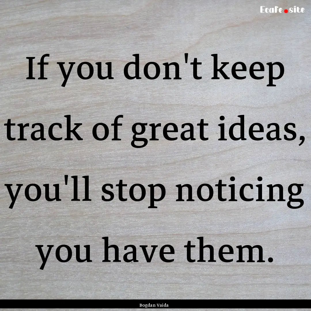 If you don't keep track of great ideas, you'll.... : Quote by Bogdan Vaida