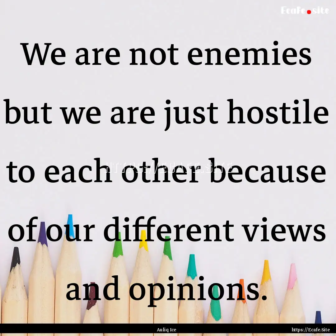 We are not enemies but we are just hostile.... : Quote by Auliq Ice