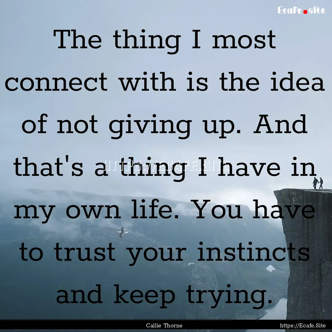 The thing I most connect with is the idea.... : Quote by Callie Thorne