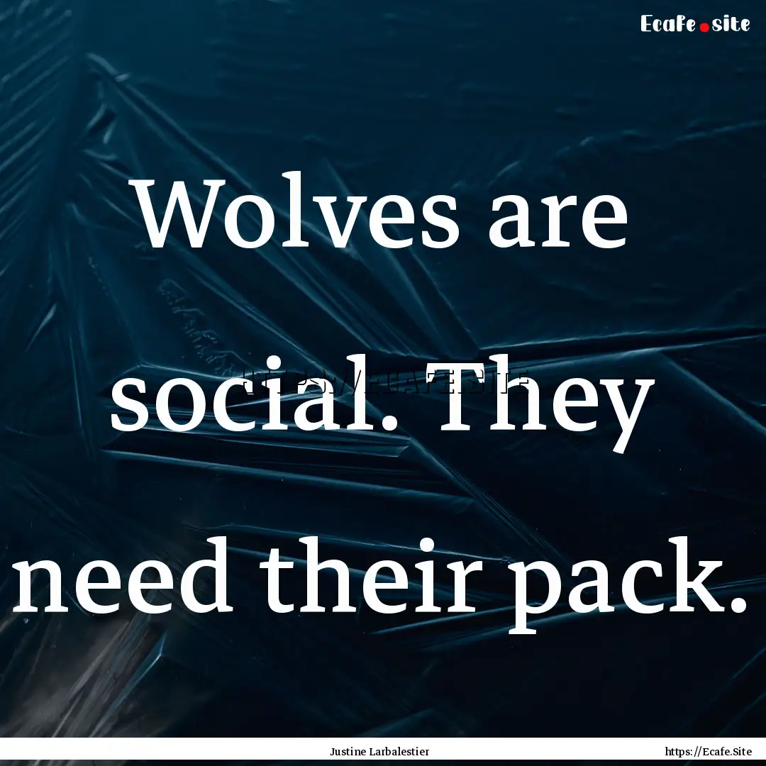 Wolves are social. They need their pack. : Quote by Justine Larbalestier