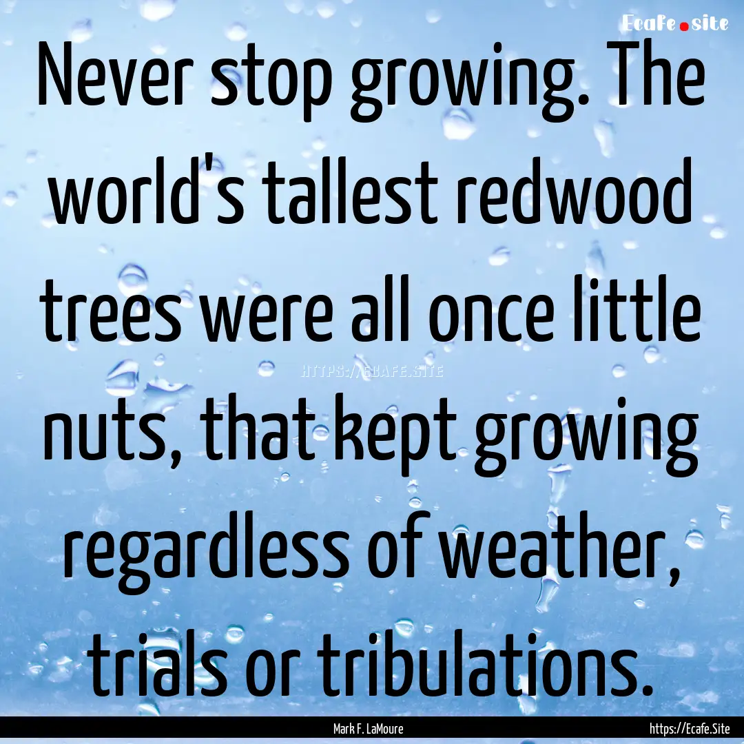 Never stop growing. The world's tallest redwood.... : Quote by Mark F. LaMoure