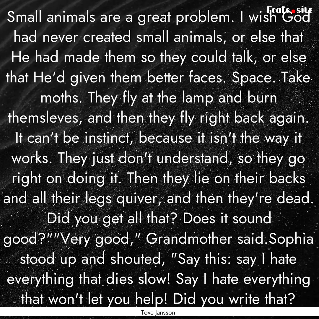 Small animals are a great problem. I wish.... : Quote by Tove Jansson