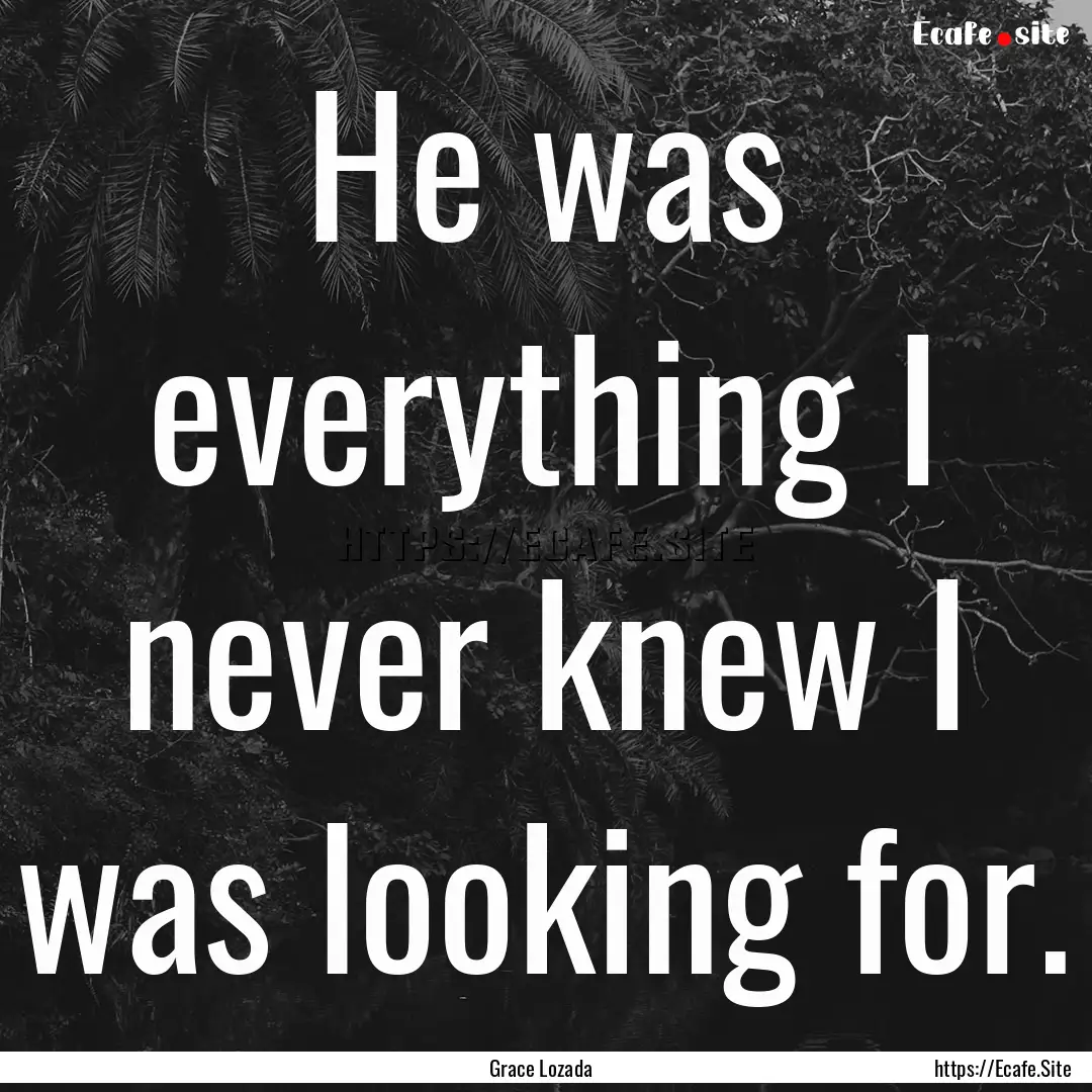 He was everything I never knew I was looking.... : Quote by Grace Lozada