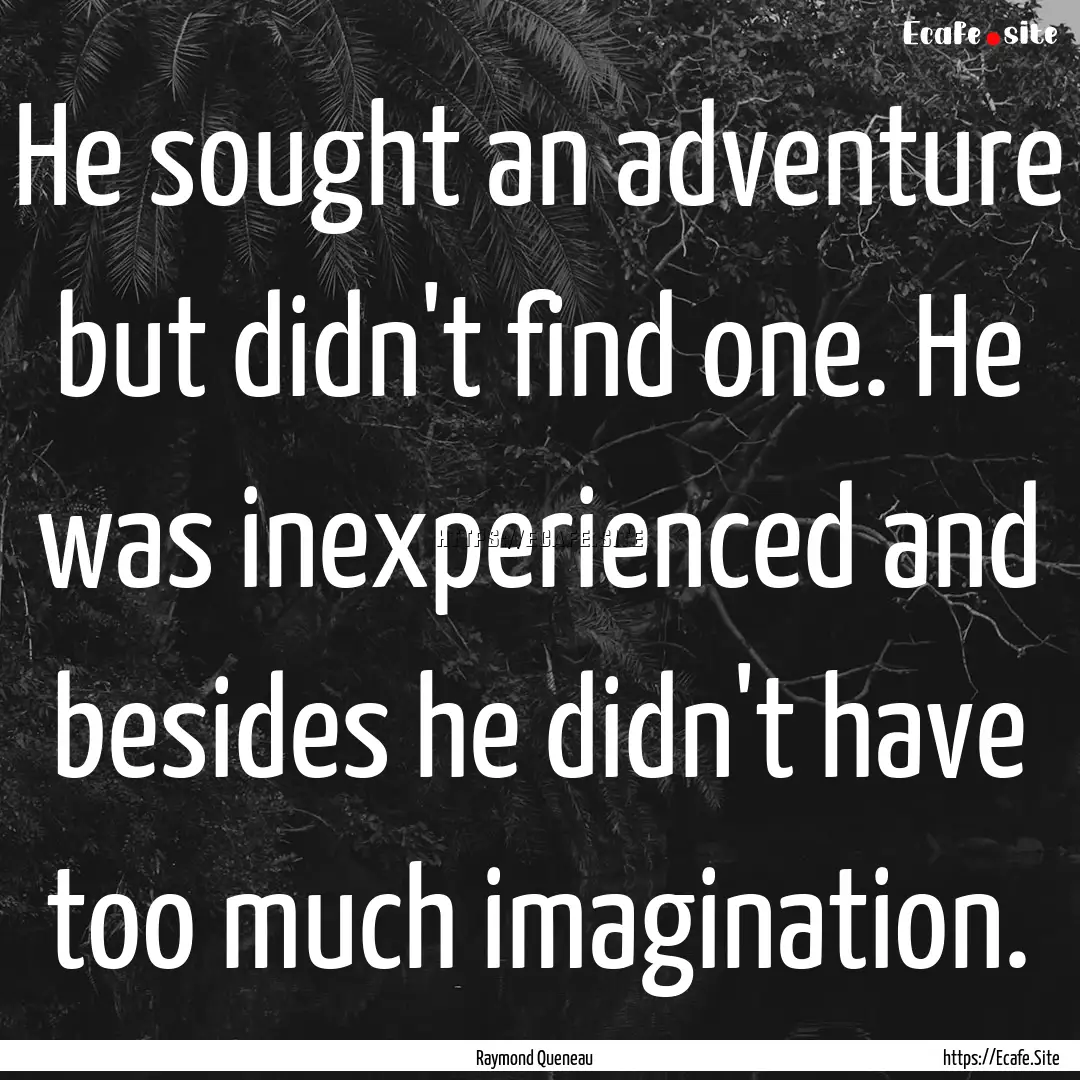 He sought an adventure but didn't find one..... : Quote by Raymond Queneau