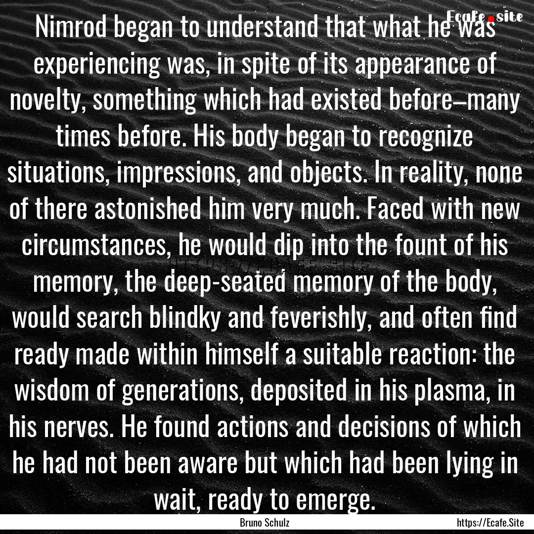 Nimrod began to understand that what he was.... : Quote by Bruno Schulz