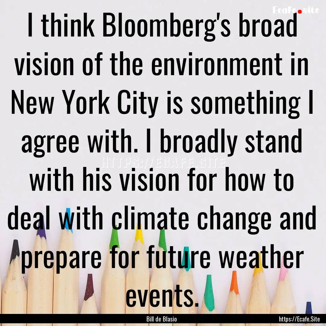 I think Bloomberg's broad vision of the environment.... : Quote by Bill de Blasio