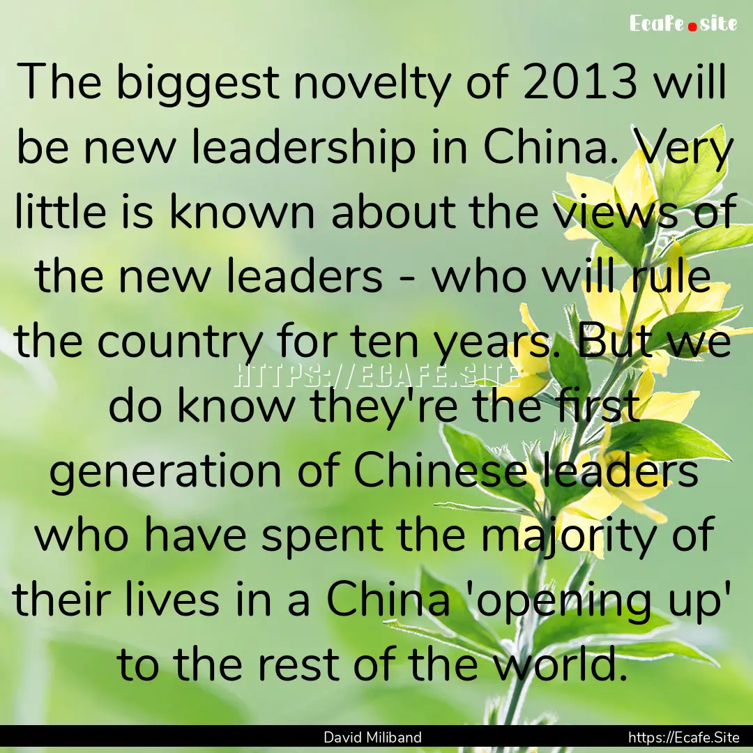 The biggest novelty of 2013 will be new leadership.... : Quote by David Miliband