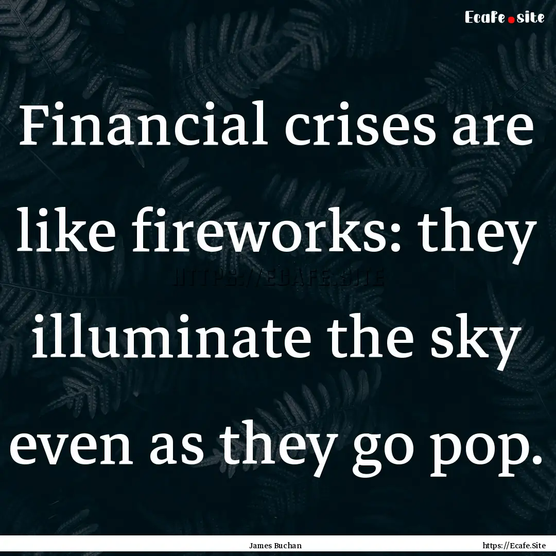 Financial crises are like fireworks: they.... : Quote by James Buchan