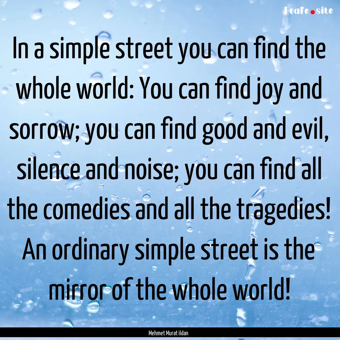 In a simple street you can find the whole.... : Quote by Mehmet Murat ildan