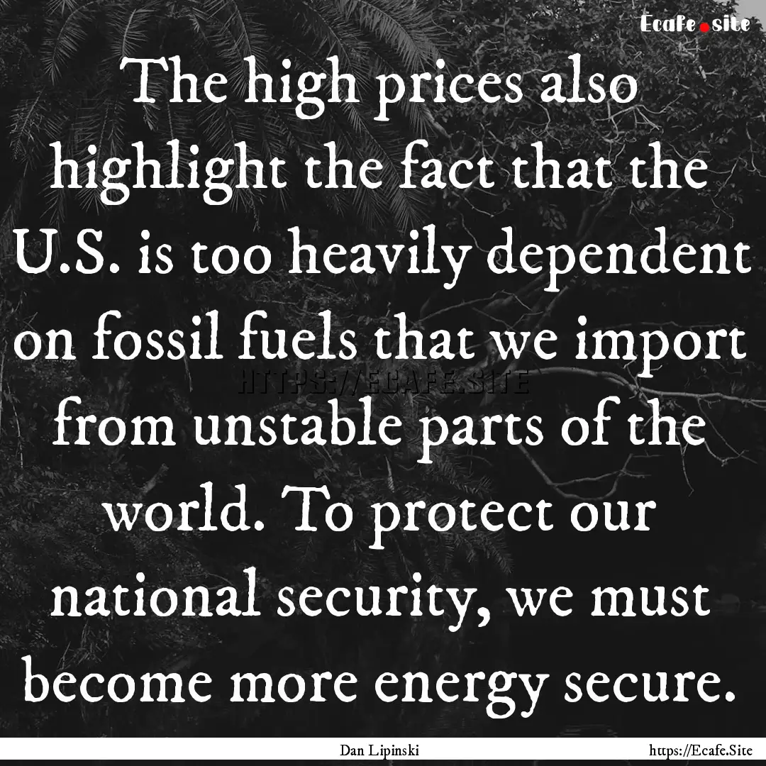 The high prices also highlight the fact that.... : Quote by Dan Lipinski