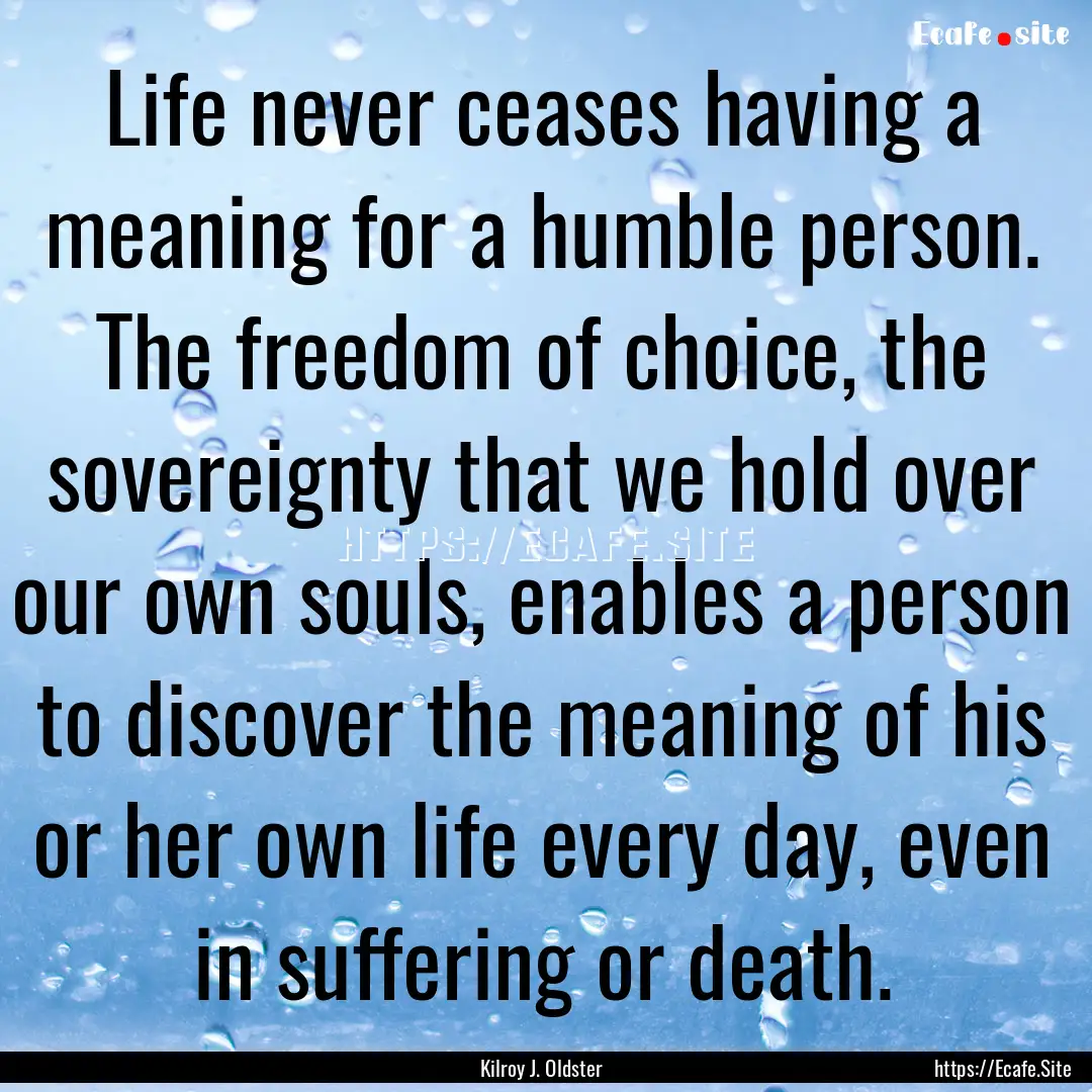 Life never ceases having a meaning for a.... : Quote by Kilroy J. Oldster