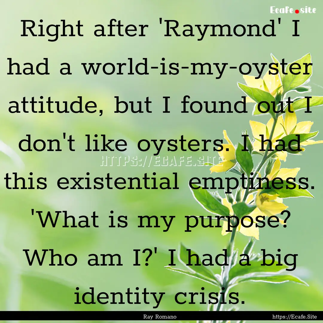 Right after 'Raymond' I had a world-is-my-oyster.... : Quote by Ray Romano