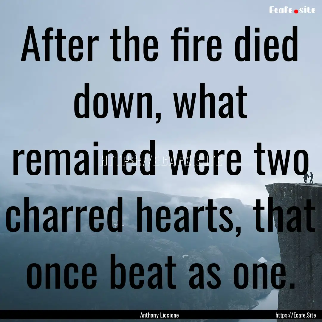 After the fire died down, what remained were.... : Quote by Anthony Liccione