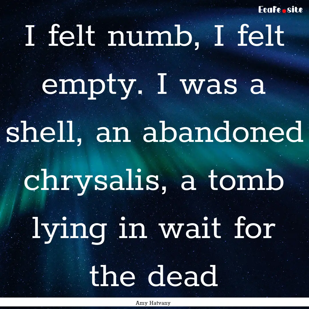 I felt numb, I felt empty. I was a shell,.... : Quote by Amy Hatvany