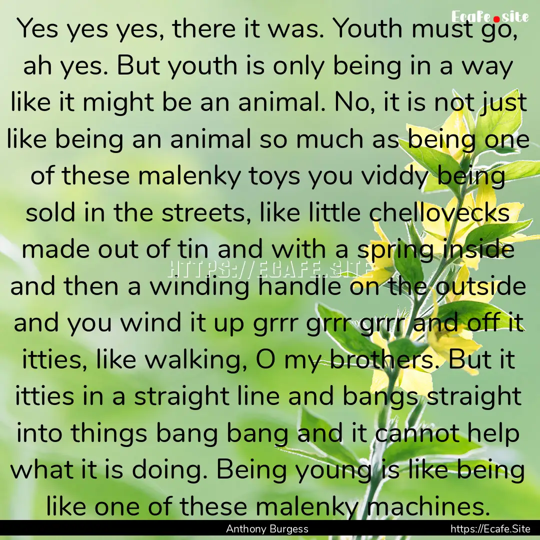 Yes yes yes, there it was. Youth must go,.... : Quote by Anthony Burgess