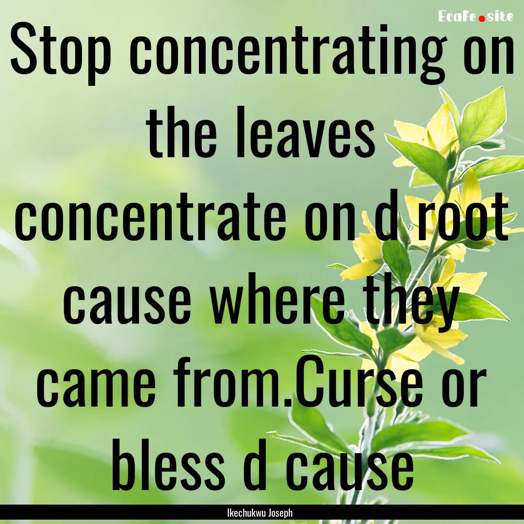 Stop concentrating on the leaves concentrate.... : Quote by Ikechukwu Joseph